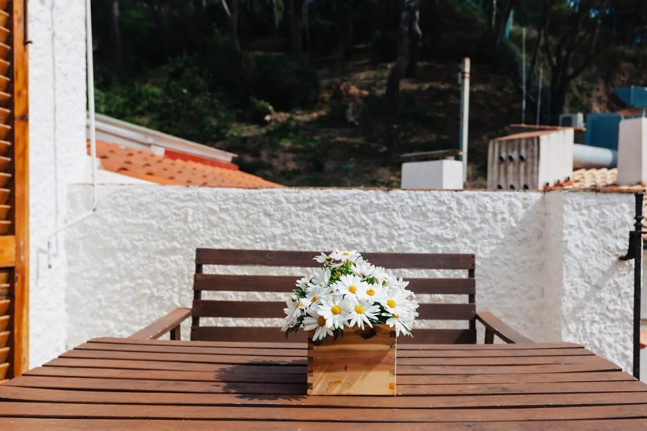 Tamariu Beach 2 - Terrace Penthouse On The Beach Apartment Spain